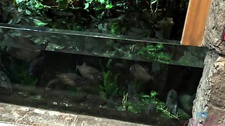 Cute amateur teen reality gangbang