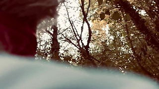 In the Woods Again