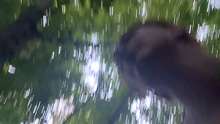 Piss, Mud and Flashing Near the Road