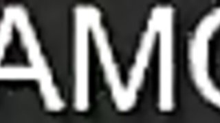 Delicious doxie's hairy smut