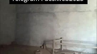 Indian Cpl Romance and Shagging 2