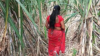 My Step Mom in Sugarcane Farming