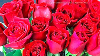 Hd videos, desi sex, bangladeshi sex