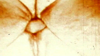 Sepia Vintage Anal Loop with Close-up Retro Backdoor Worship