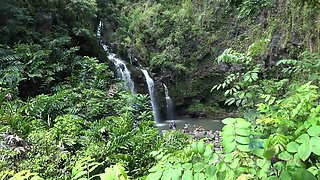 Virtual Vacation In Hawaii With Jill Kassidy Part 8