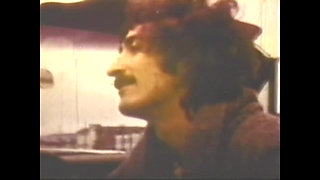 Vulgar Capricious Pig