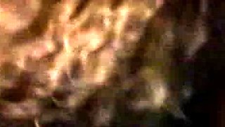 Others - Movie - Ben Dover-s - Sex In Public Places Vol.