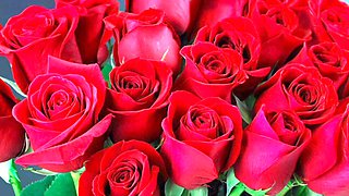 Jaw-dropping mature hotwife in saree has a wild adventure with her husband